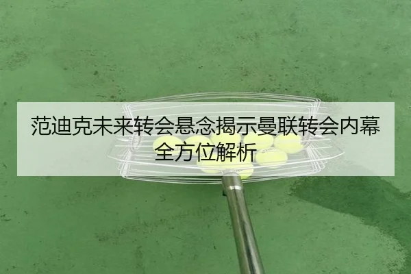范迪克未来转会悬念揭示曼联转会内幕全方位解析