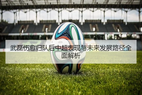 武磊伤愈归队后中超表现与未来发展路径全面解析