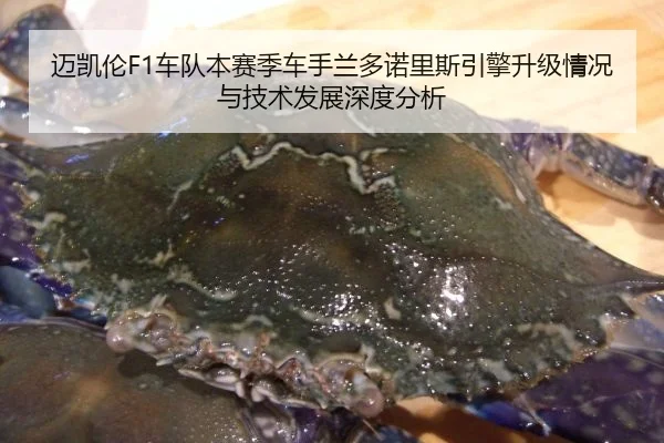 迈凯伦F1车队本赛季车手兰多诺里斯引擎升级情况与技术发展深度分析